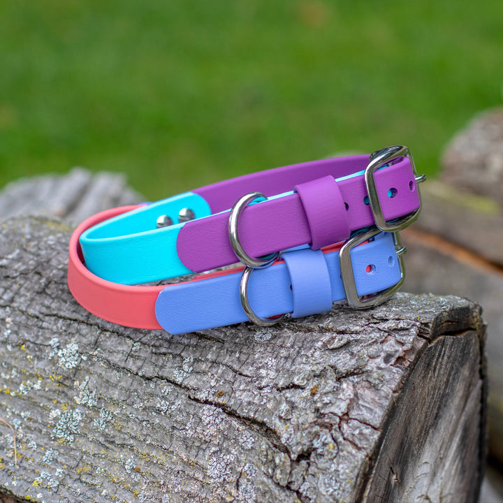 Two Toned Waterproof BioThane Collar | SeaFlower Co
