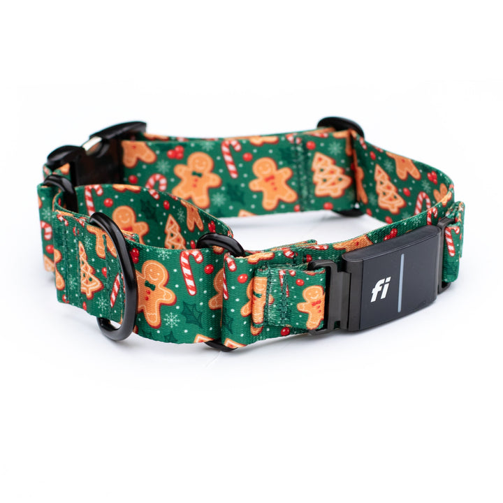 Holiday Fi 3/3+ Compatible Buckle Martingale