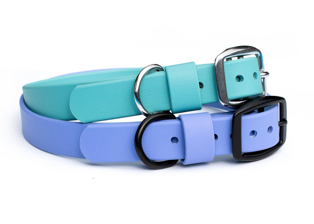 BioThane Dog Collars | Waterproof Dog Gear
