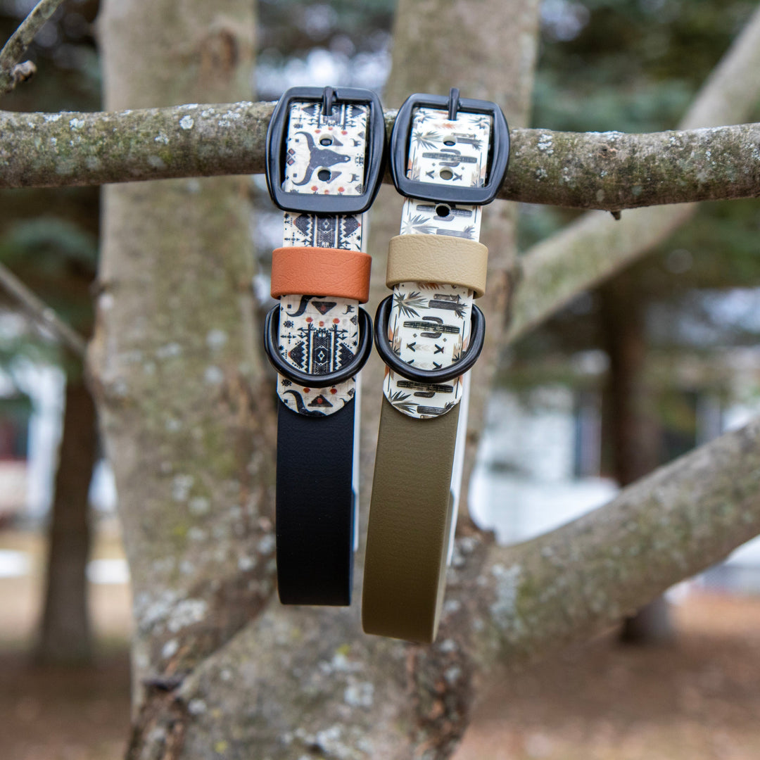 Western UV Printed BioThane Dog Collar | Waterproof Dog Gear