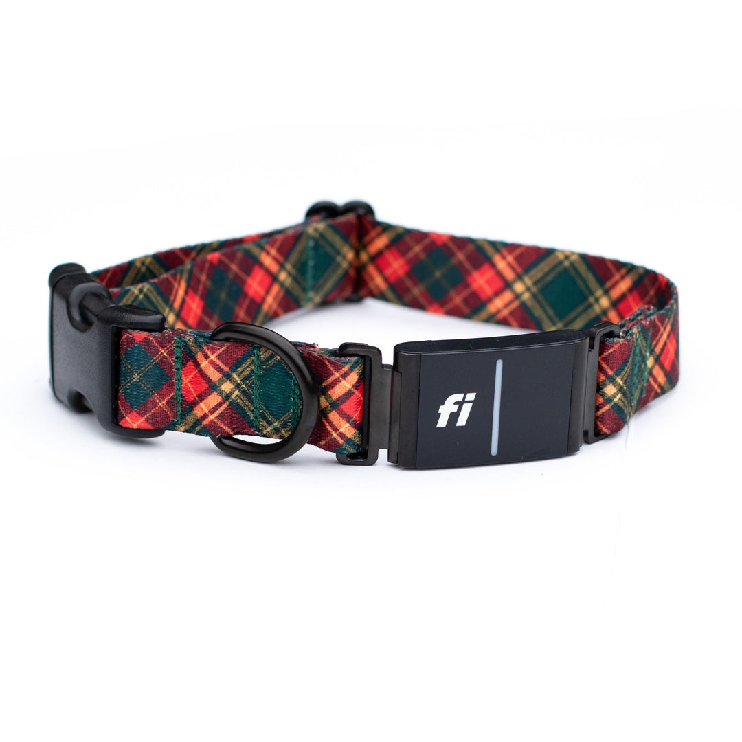 Holiday Plaid Fi 3/3+ Compatible Collar
