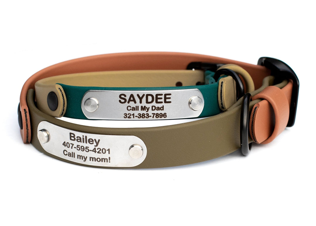 Dog collar with engraved nameplates on a white background