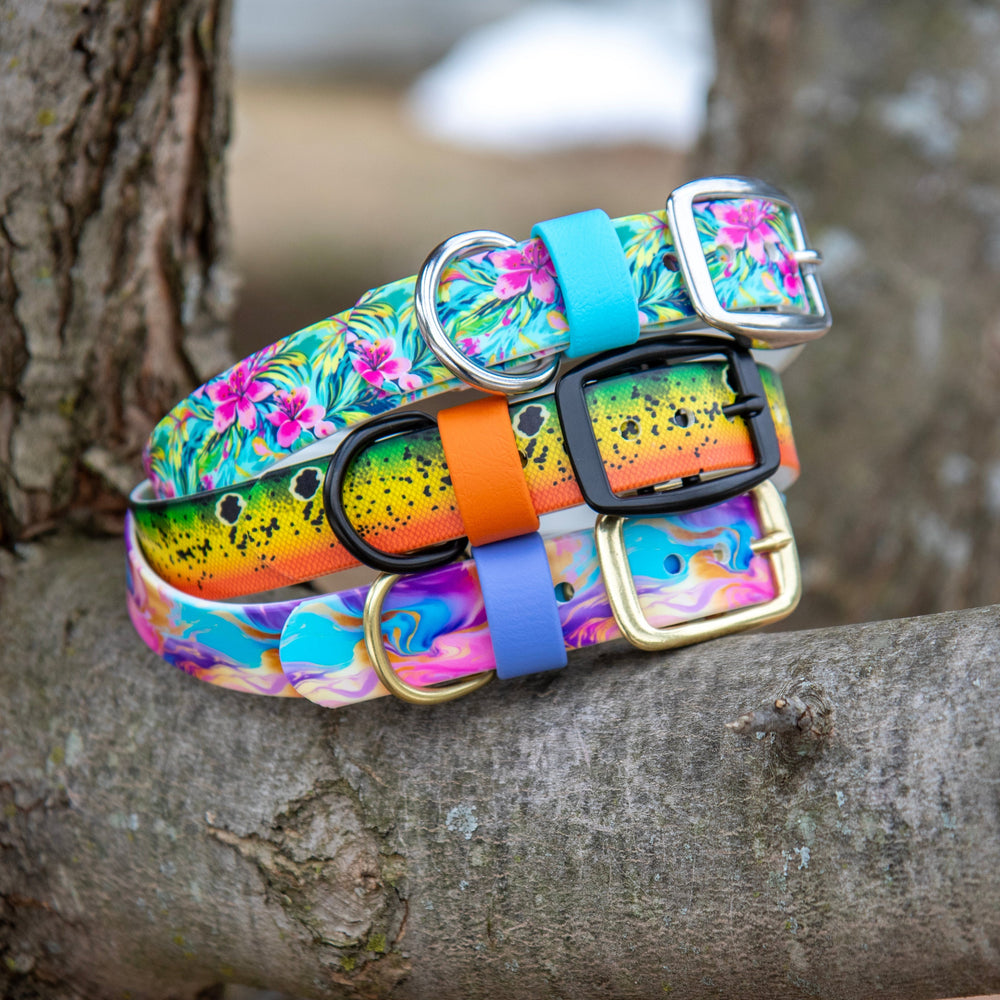 Colorful UV Printed BioThane Dog Collars | Waterproof Dog Gear