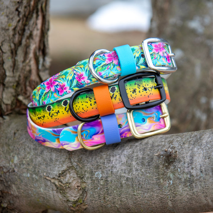 Colorful UV Printed BioThane Dog Collars | Waterproof Dog Gear