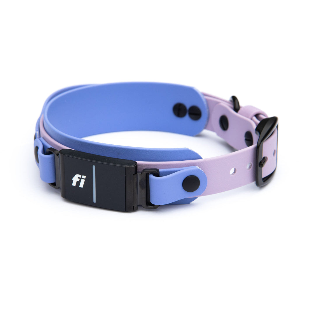 Waterproof Fi Compatible Collar With Sports Handle 