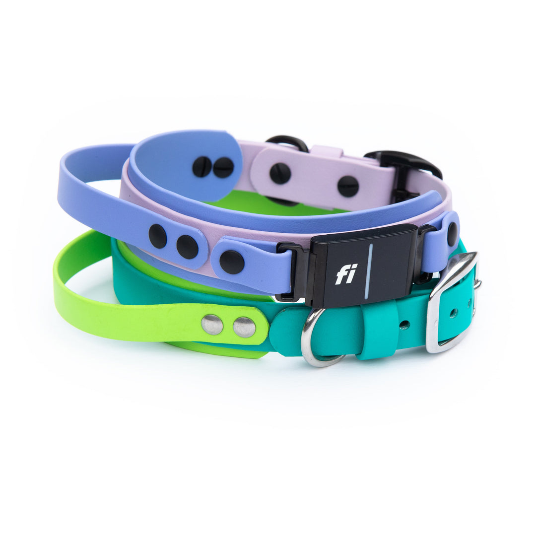 Waterproof Fi Compatible Collar With Sports Handle 