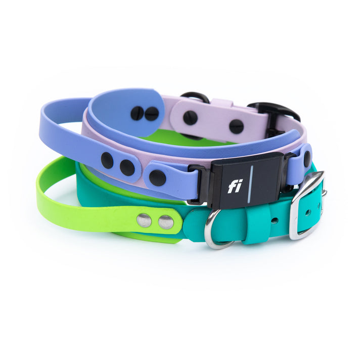 Waterproof Fi Compatible Collar With Sports Handle 