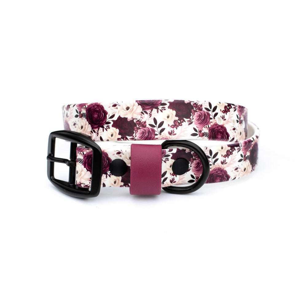 Floral patterned dog collar with a black buckle on a white background