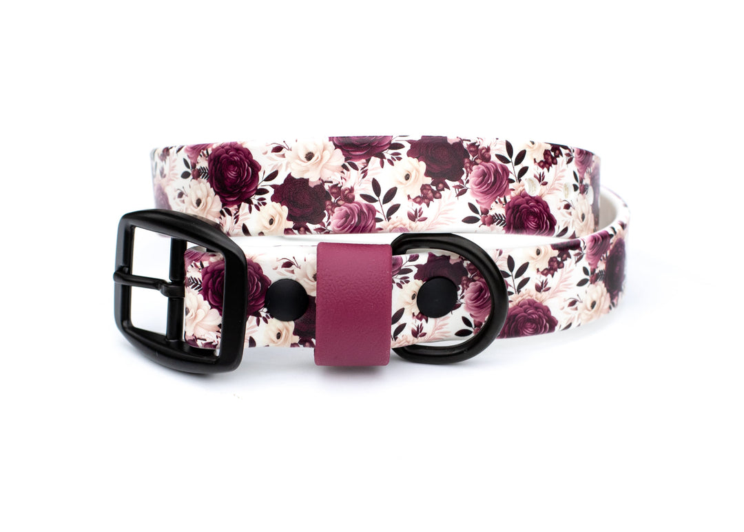Floral patterned dog collar with a black buckle on a white background