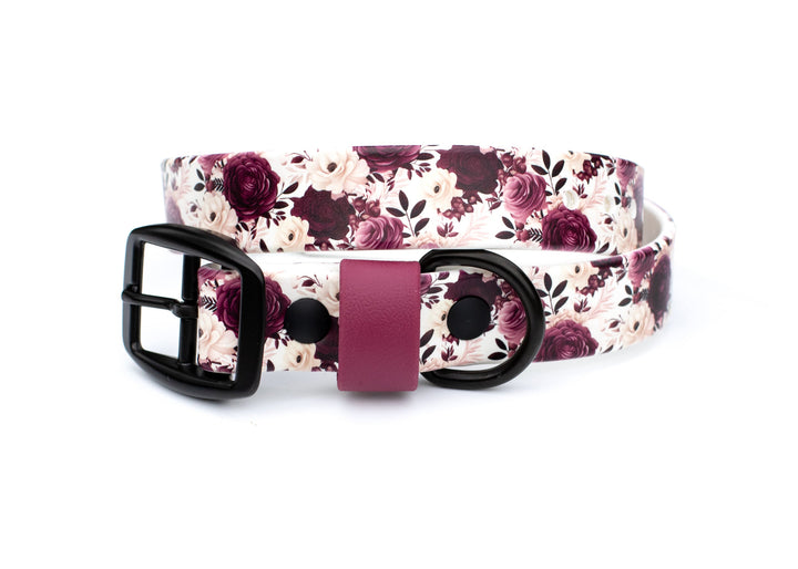 Floral patterned dog collar with a black buckle on a white background