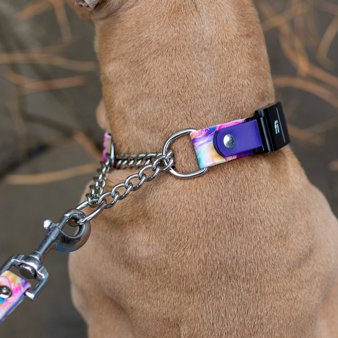 Fi Compatible 3/3+ 1" Width Patterned BioThane® Martingale Collar