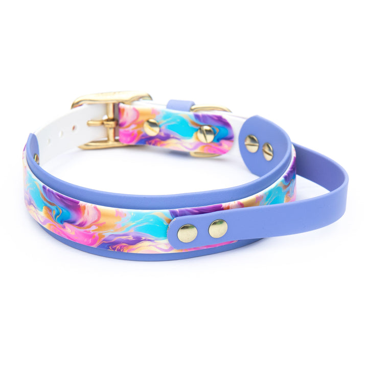 UV-Printed BioThane® Collar With Quick Control Handle