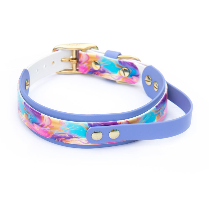 UV-Printed BioThane® Collar With Quick Control Handle