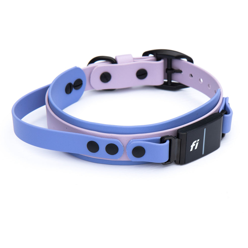 Waterproof Fi Compatible Collar With Sports Handle 