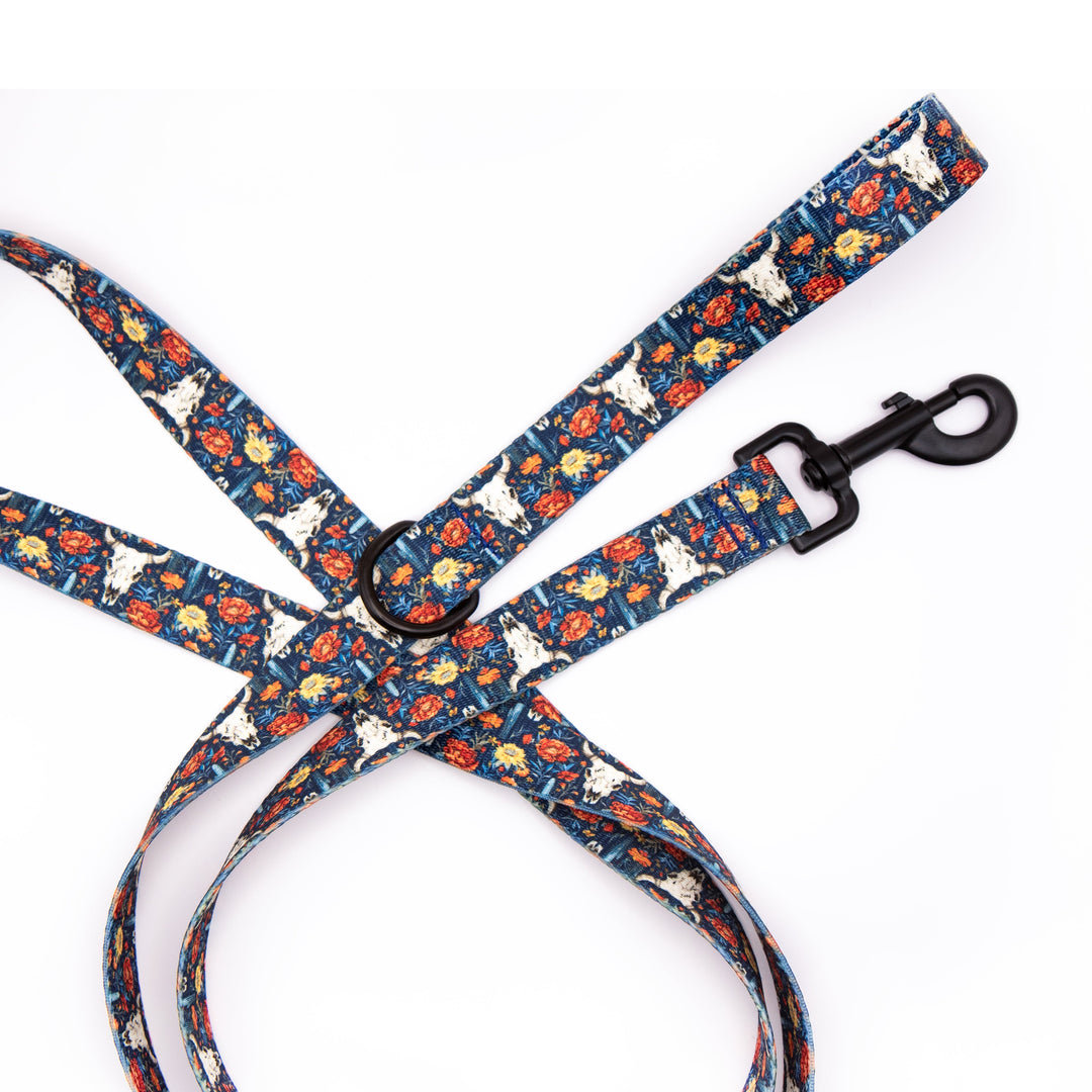 Boho Western Dog Leash | Stylish &amp; Durable Pet Gear