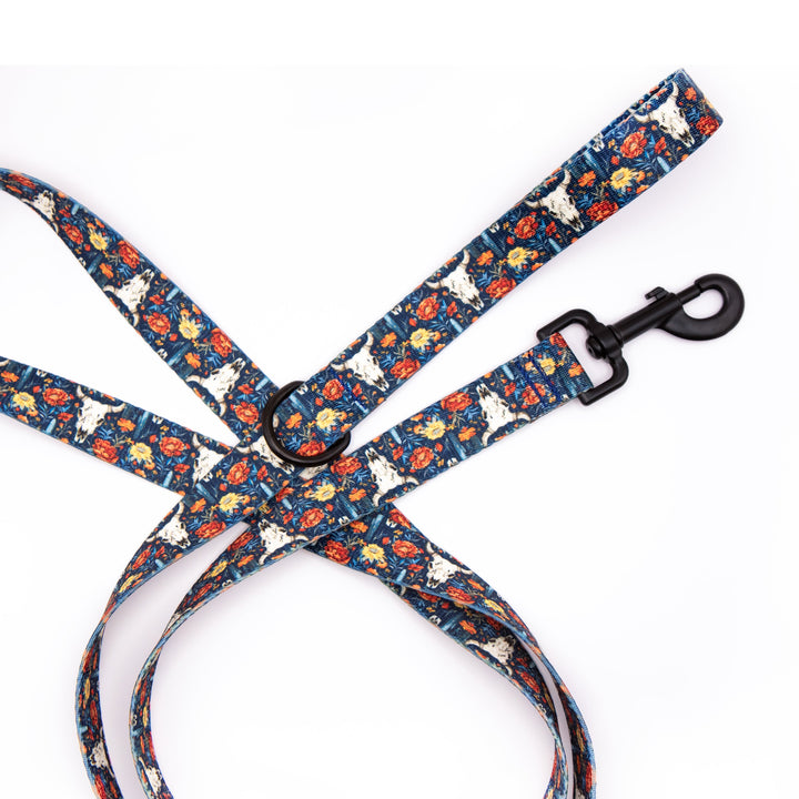 Boho Western Dog Leash | Stylish &amp; Durable Pet Gear