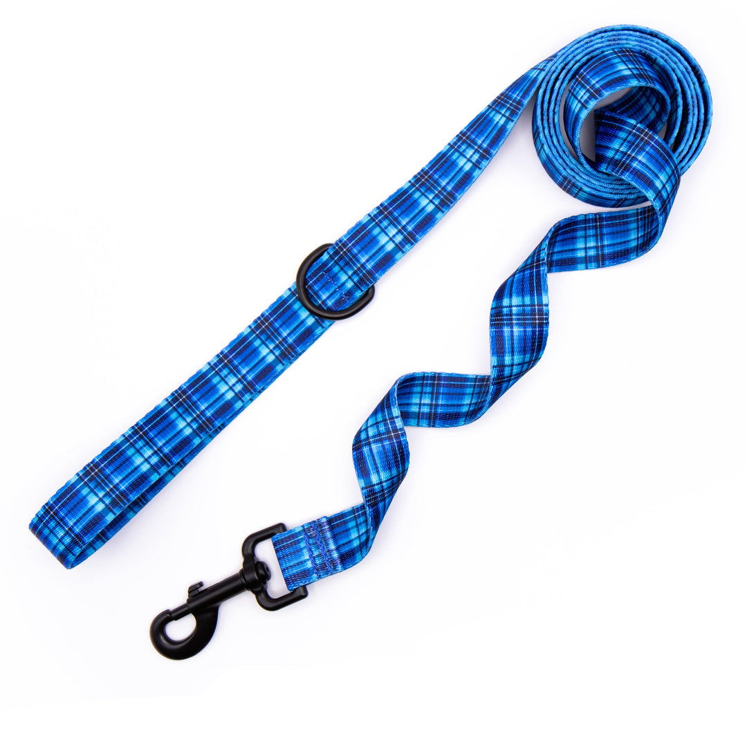 Blue plaid dog leash on a white background