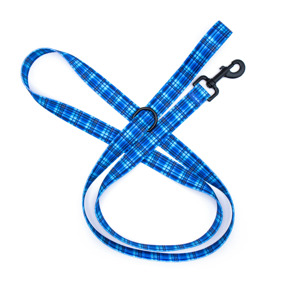 Blue plaid dog leash with a black clip on a white background