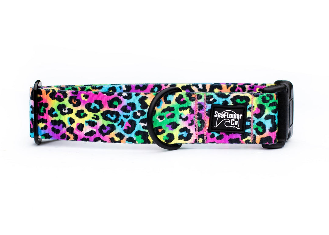 Colorful leopard print dog collar with brand logo on a white background