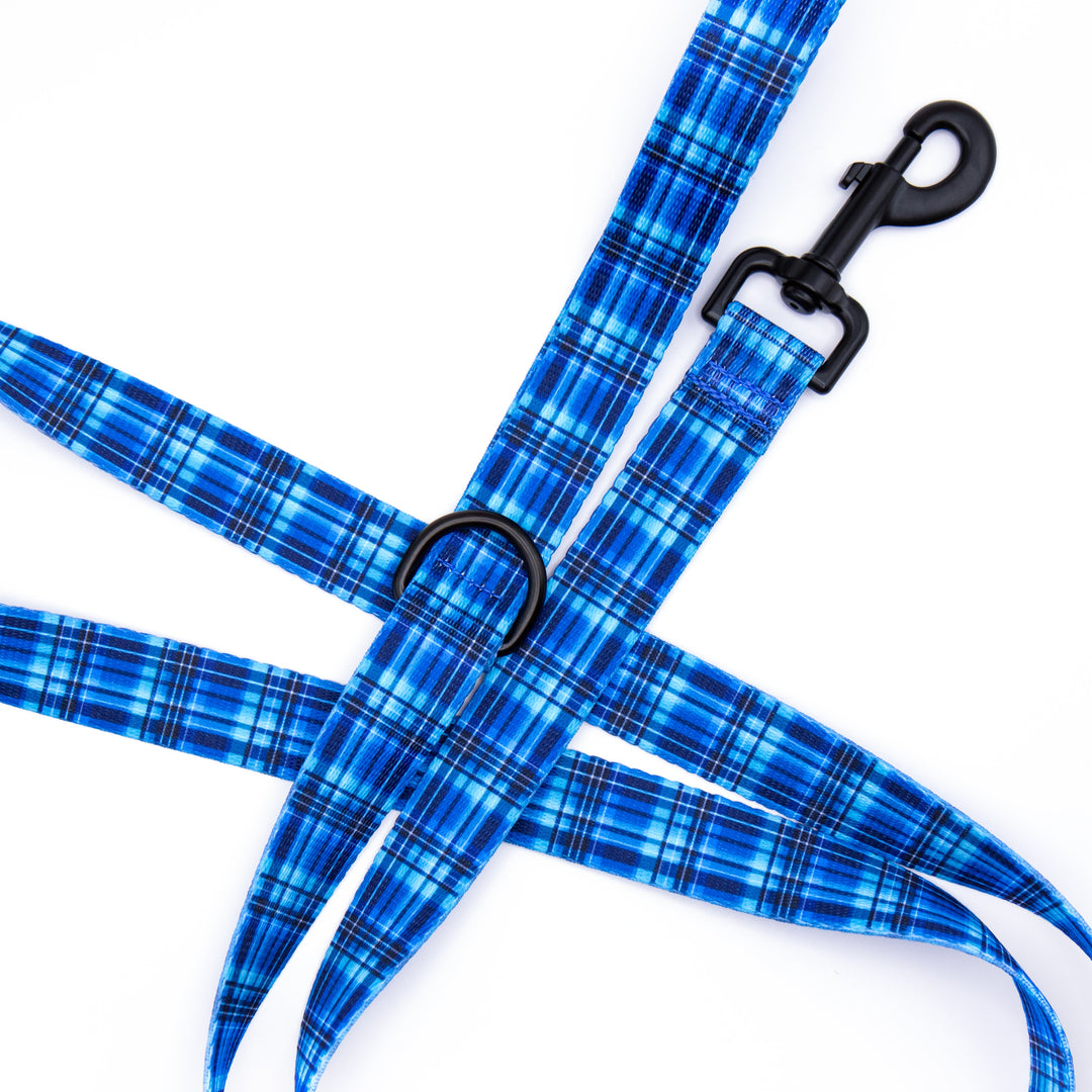 Blue plaid dog leash with black clip on a white background