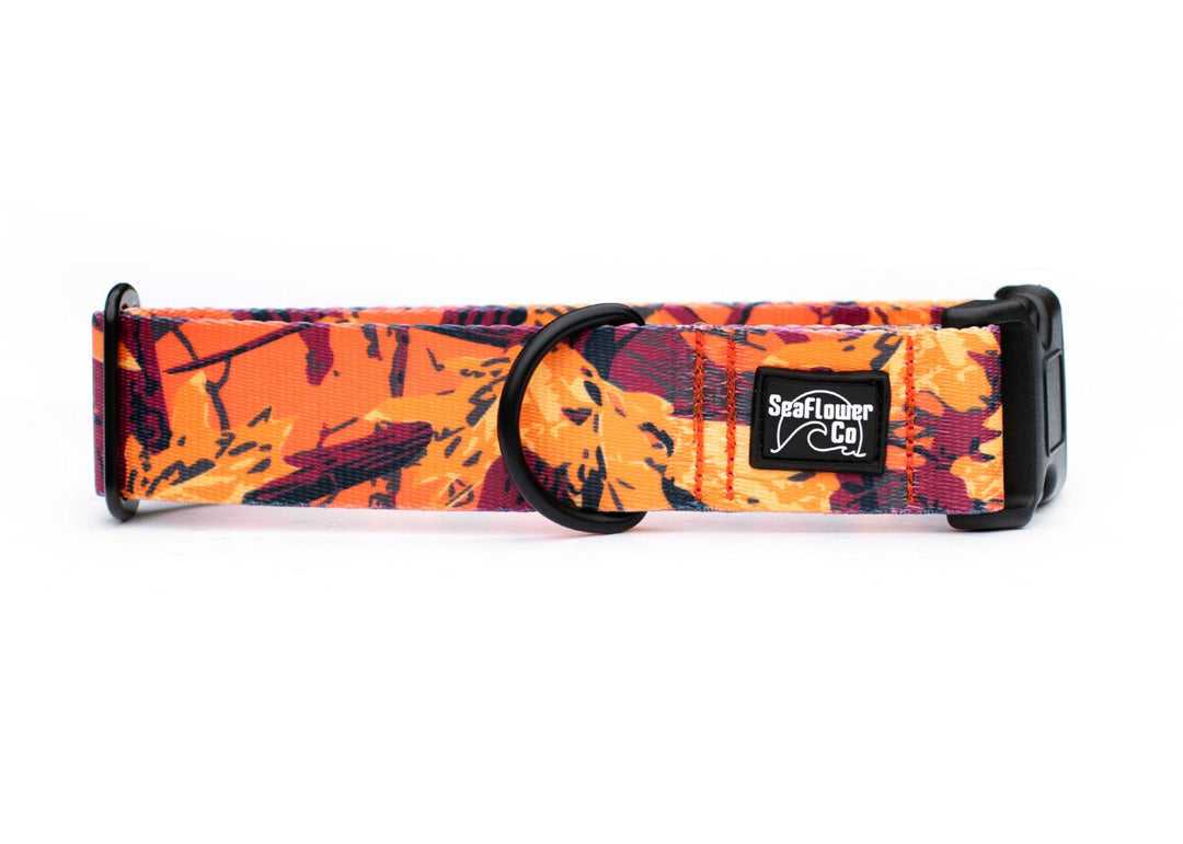Dog collar with orange and black camouflage pattern on a white background