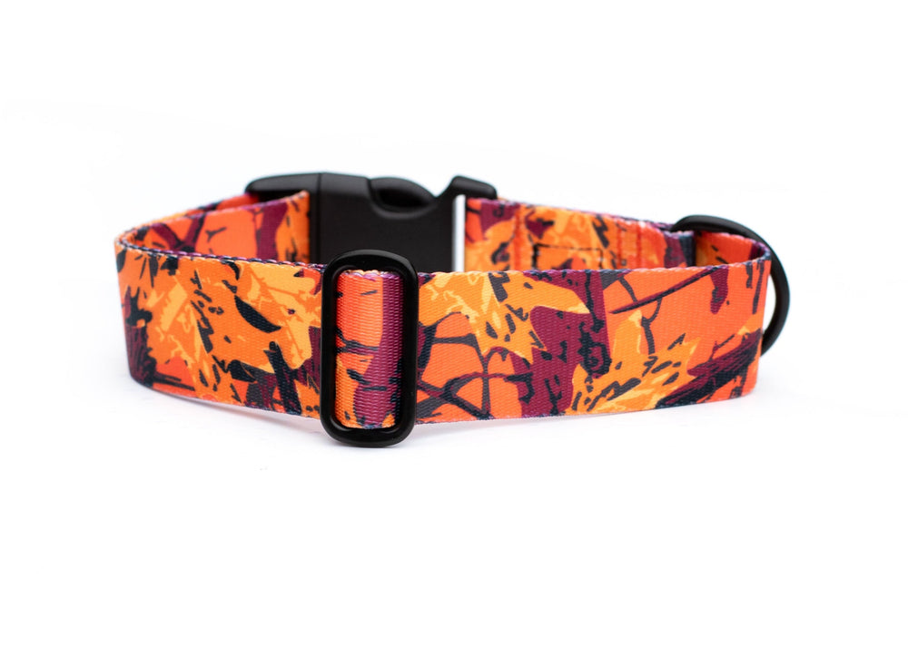 Dog collar with orange and black pattern on a white background