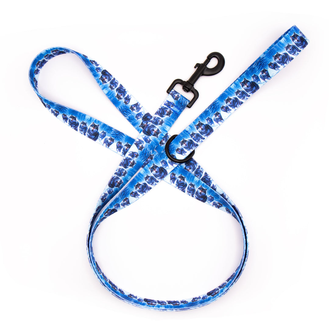 Vibrant Wolf Dog  Leash | SeaFlower Co