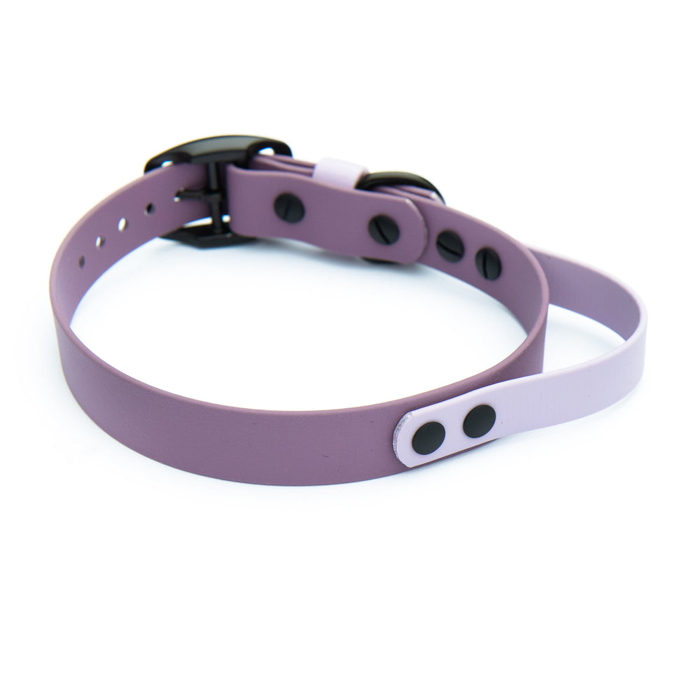 BioThane® Collar With Quick Control Handle | SeaFlower Co