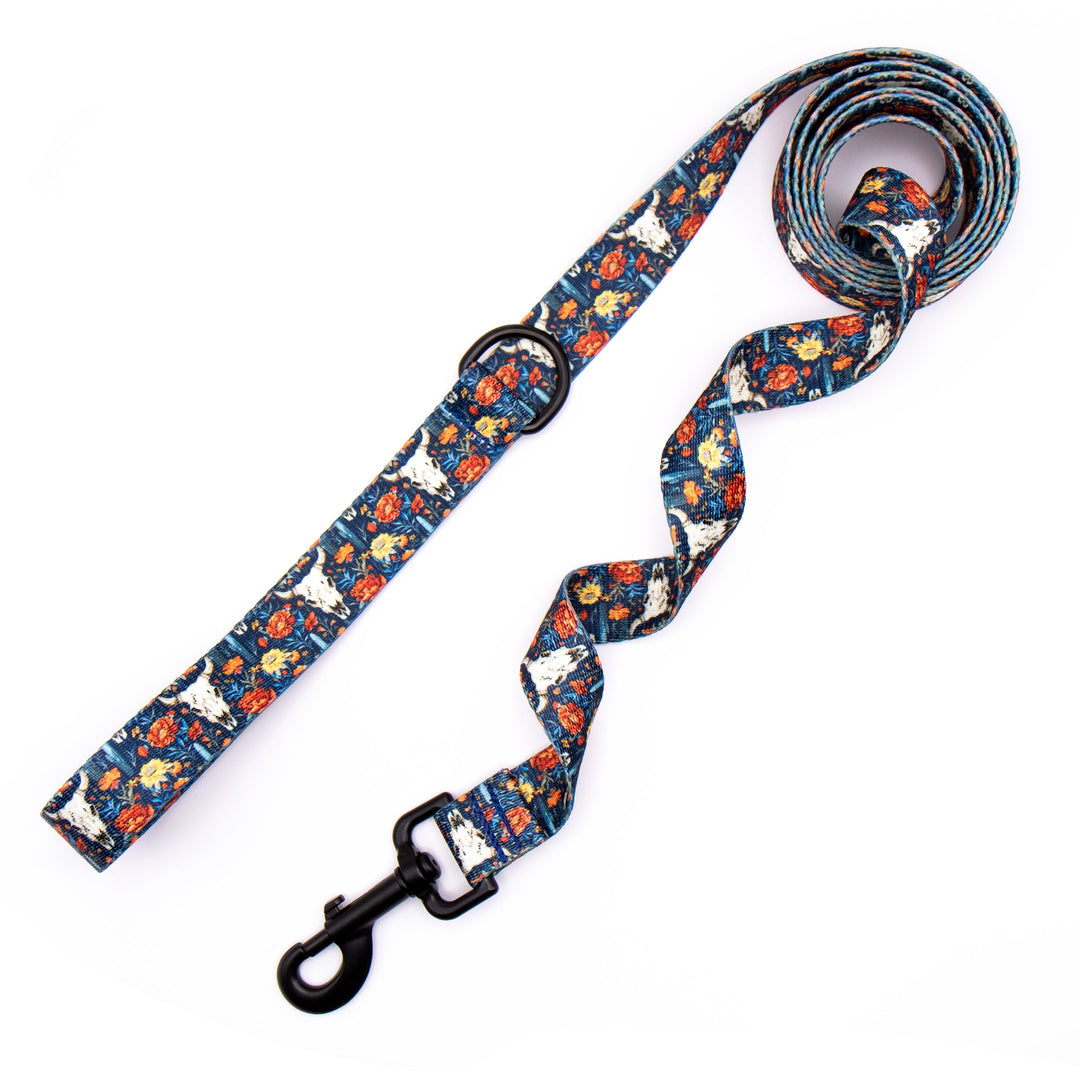 Boho Western Dog Leash | Stylish & Durable Pet Gear