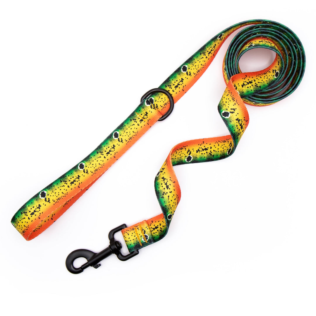 Peacock Bass Fish dog leash on a white background