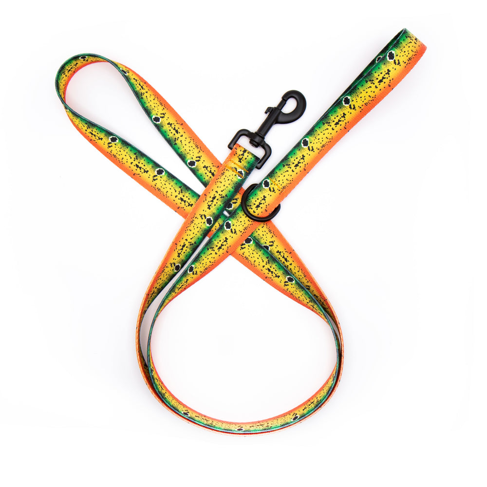 Peacock Bass Fish dog leash on a white background