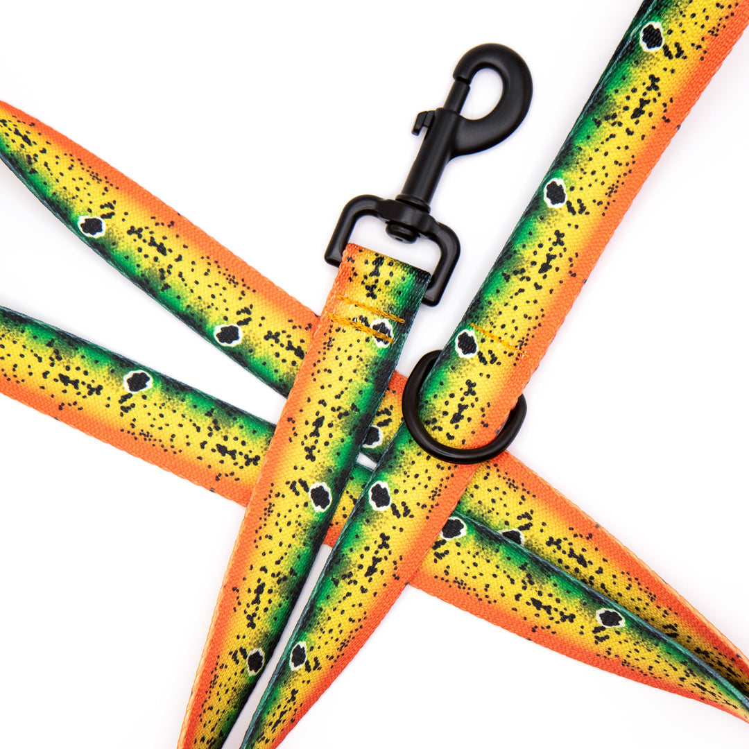 Peacock Bass Fish dog leash on a white background