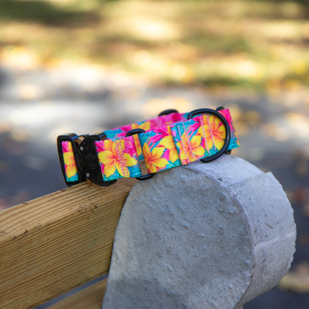 Hawaiian Floral Martingale Collar With Buckle | SeaFlower Co