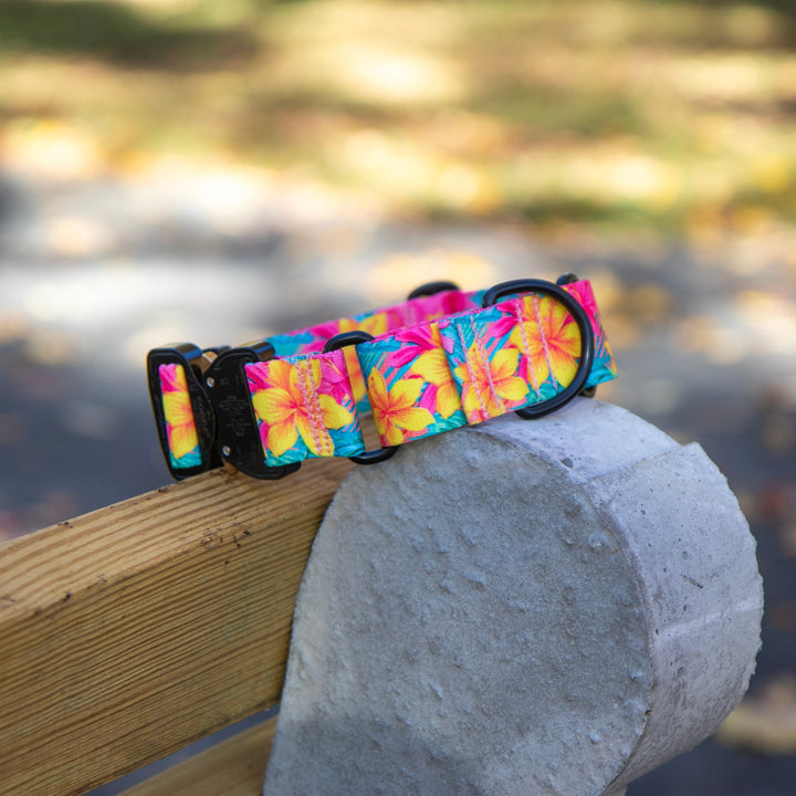 Hawaiian Floral Martingale Collar With Buckle | SeaFlower Co