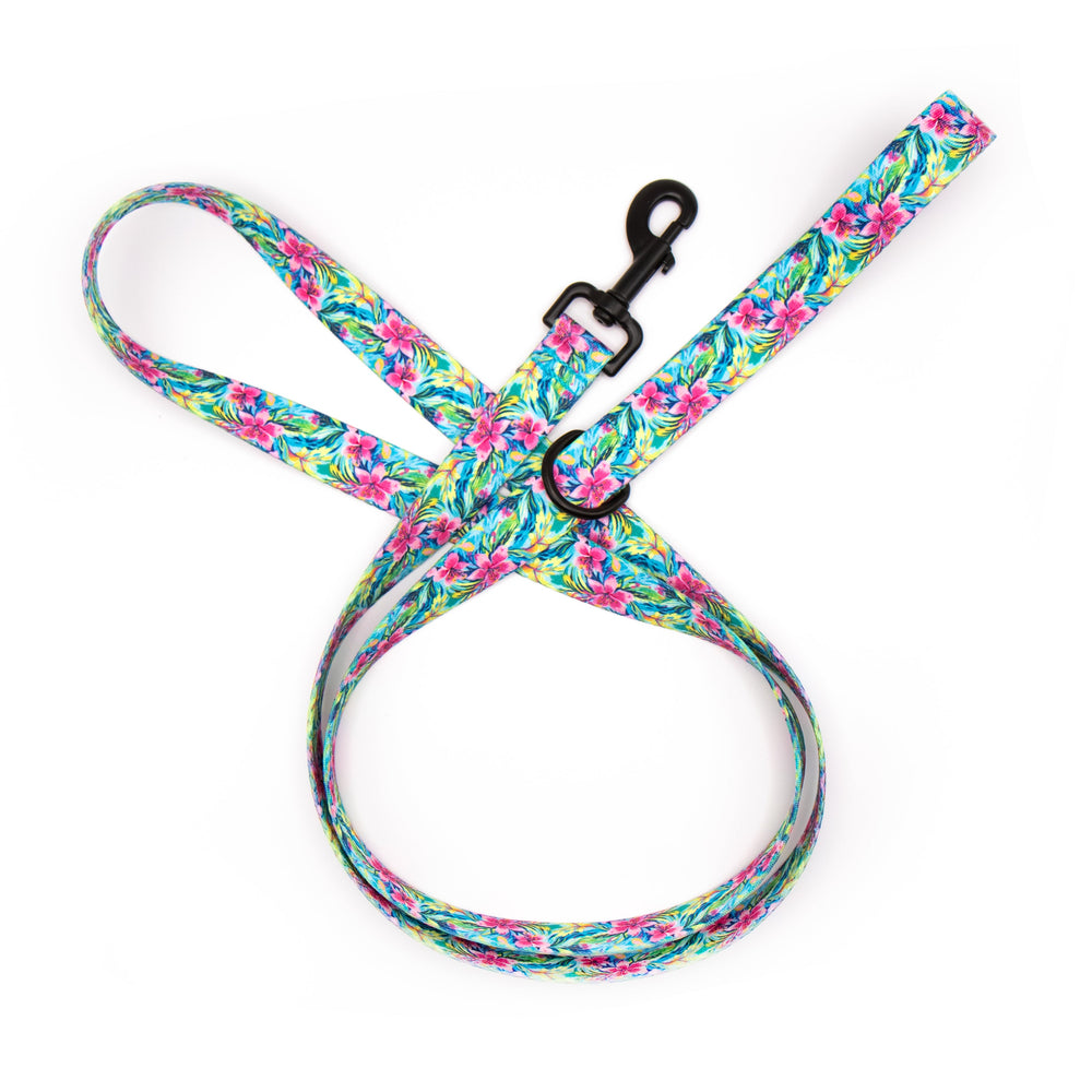 Tropical Floral patterned dog leash on a white background