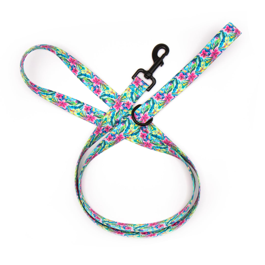 Tropical Floral patterned dog leash on a white background