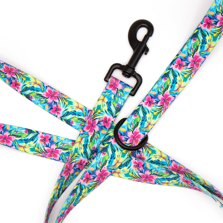 Tropical Floral patterned dog leash on a white background