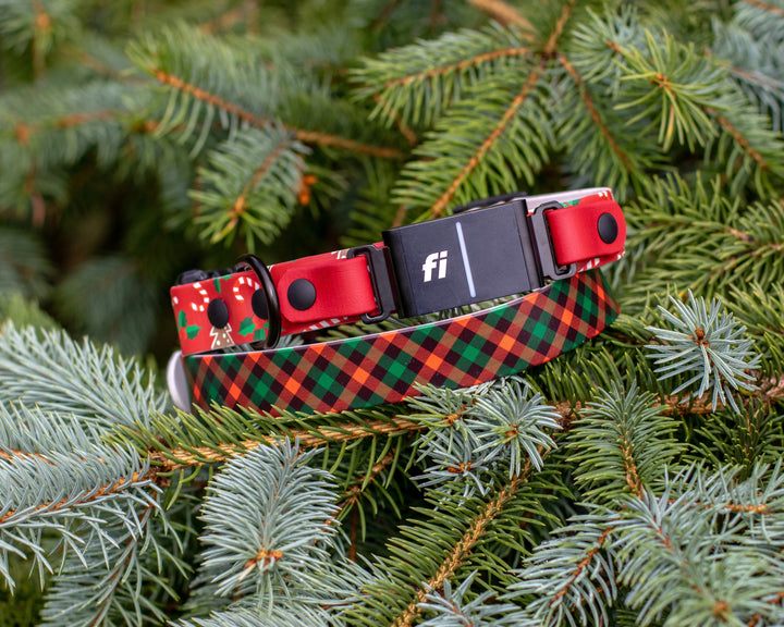 Christmas Fi Compatible 3/3+ BioThane Collar | SeaFlower Co