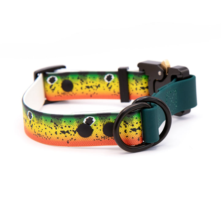 Limited Slip UV Printed BioThane Collars With Quick Release Buckle