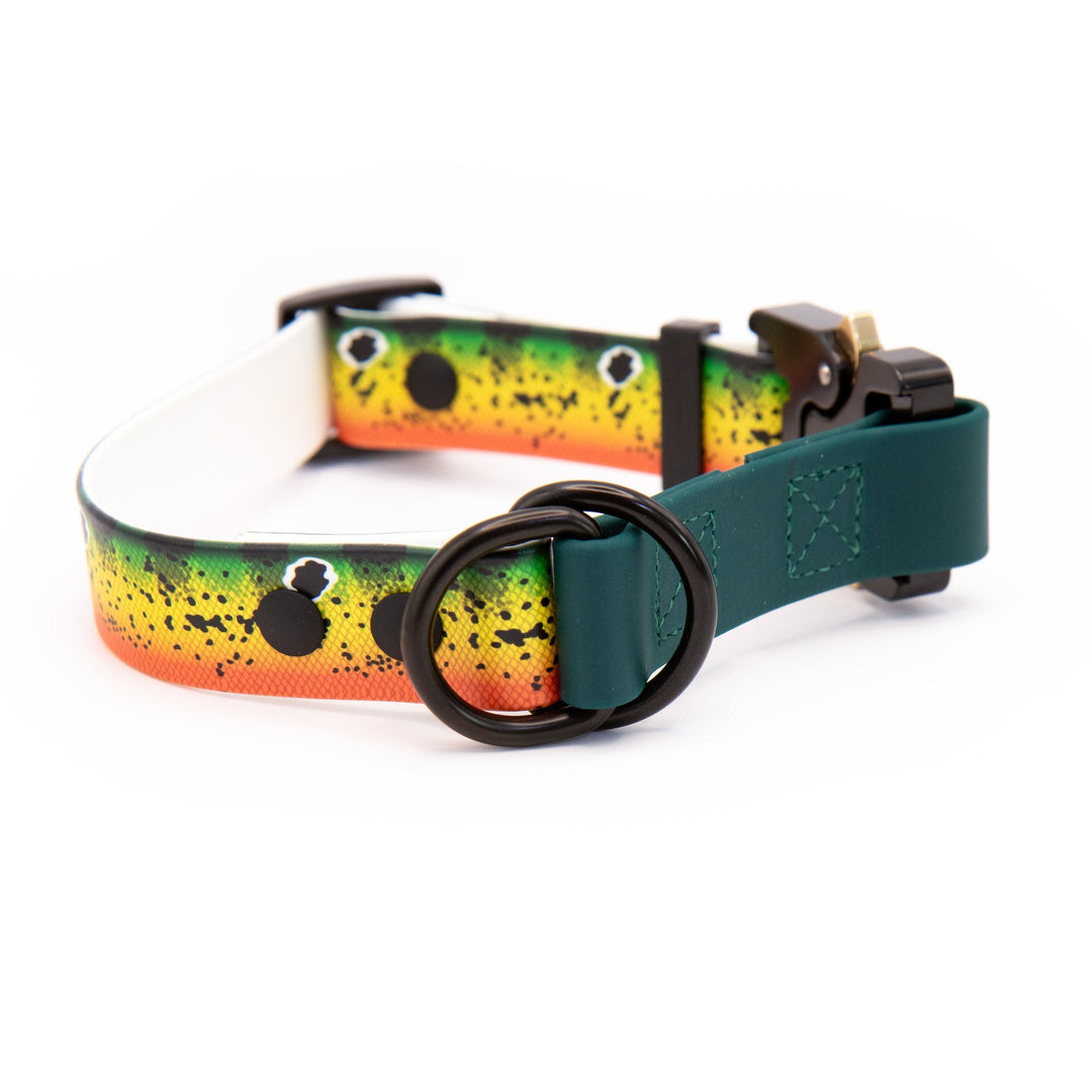 Limited Slip UV Printed BioThane Collars With Quick Release Buckle