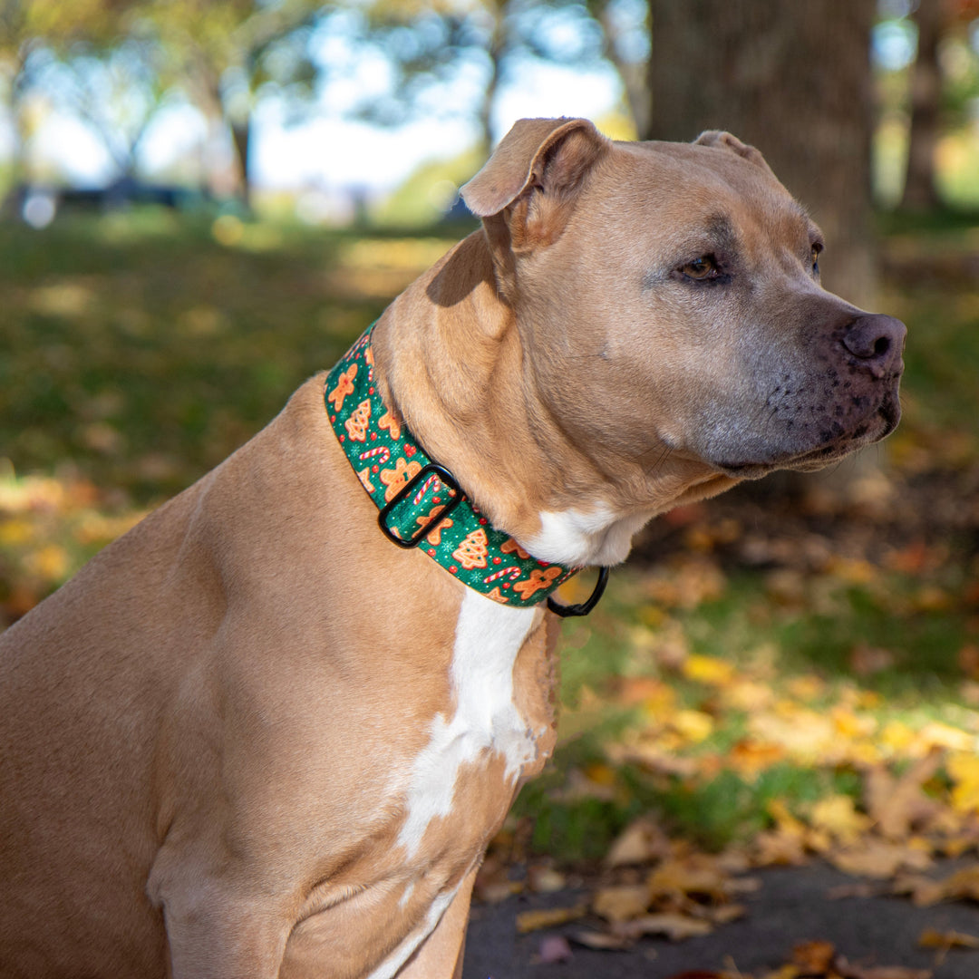 Christmas Dog Collar 