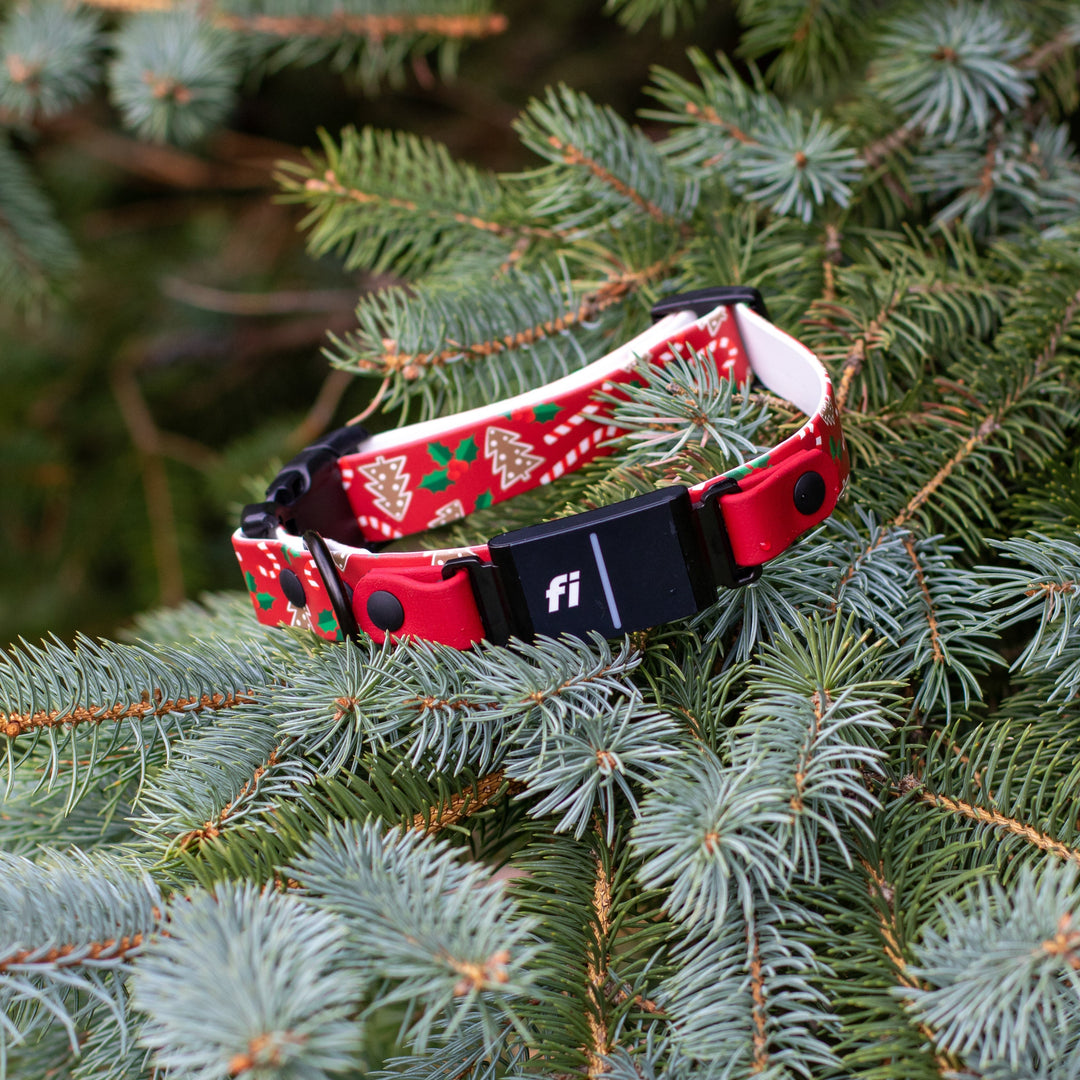 Christmas Fi Compatible 3/3+ BioThane Dog Collar With Quick Release Buckle