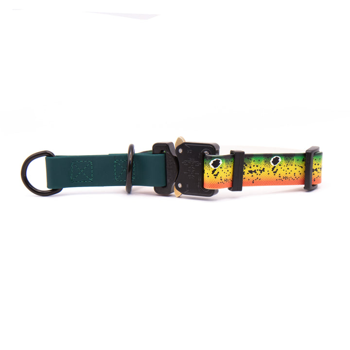 Limited Slip UV-Printed BioThane® Collar With Buckle | Pick Your Pattern