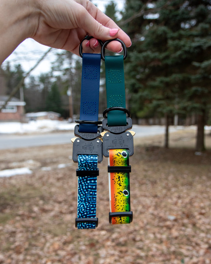 Limited Slip UV Printed BioThane Collars With Quick Release Buckle
