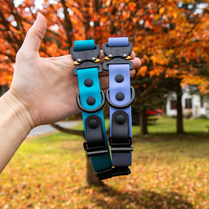 Fi Compatible 3/3+ BioThane® Collar With Quick Release Buckle