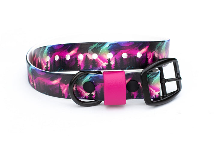 Northern Light BioThane Collar