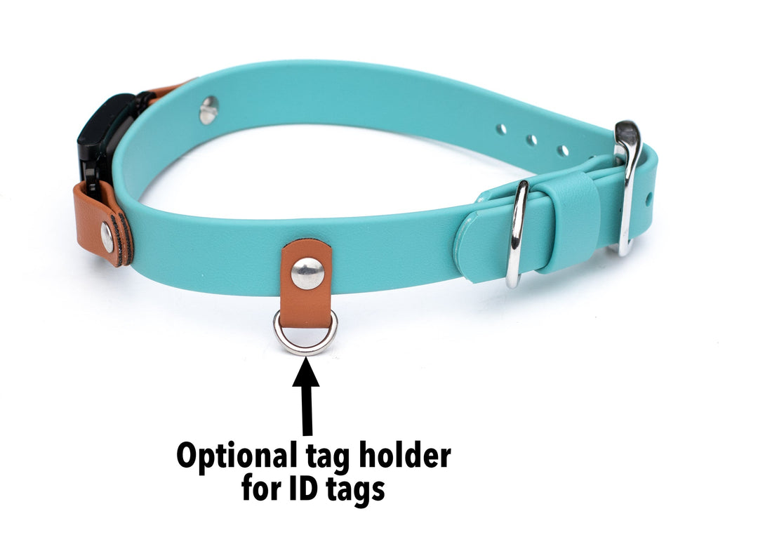 Series 3/3+ Fi Compatible BioThane® Buckle Collar