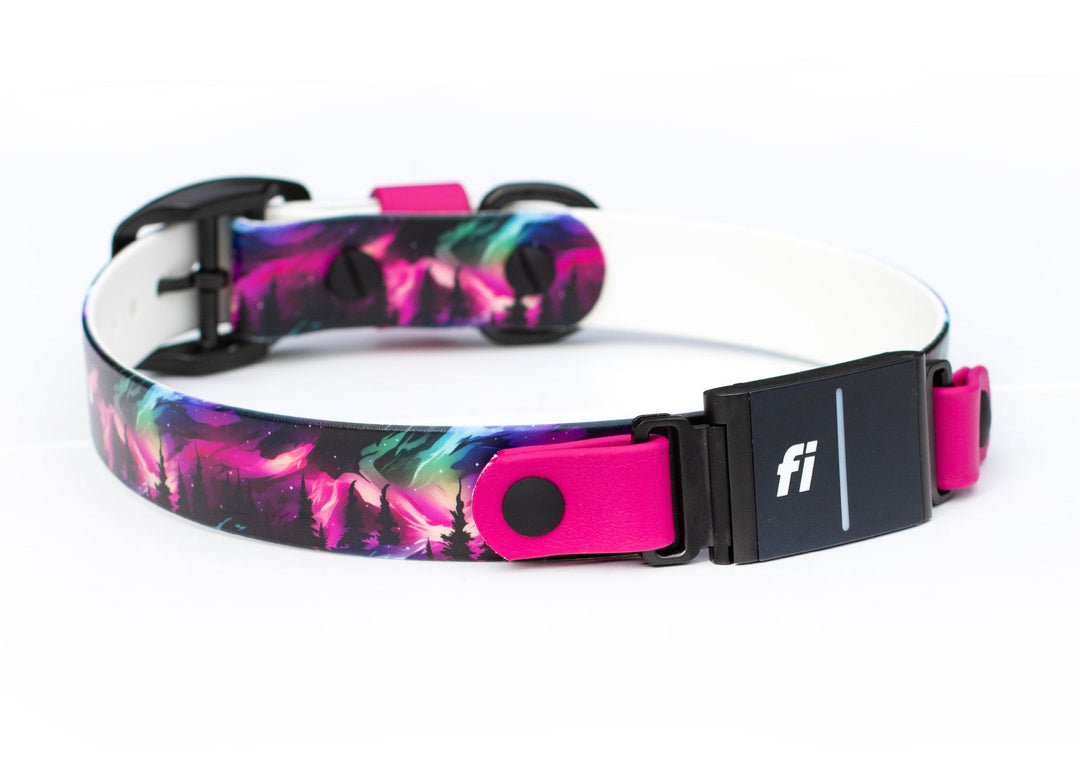 Fi Compatible 3/3+ Northern Lights BioThane Collar | SeaFlower Co