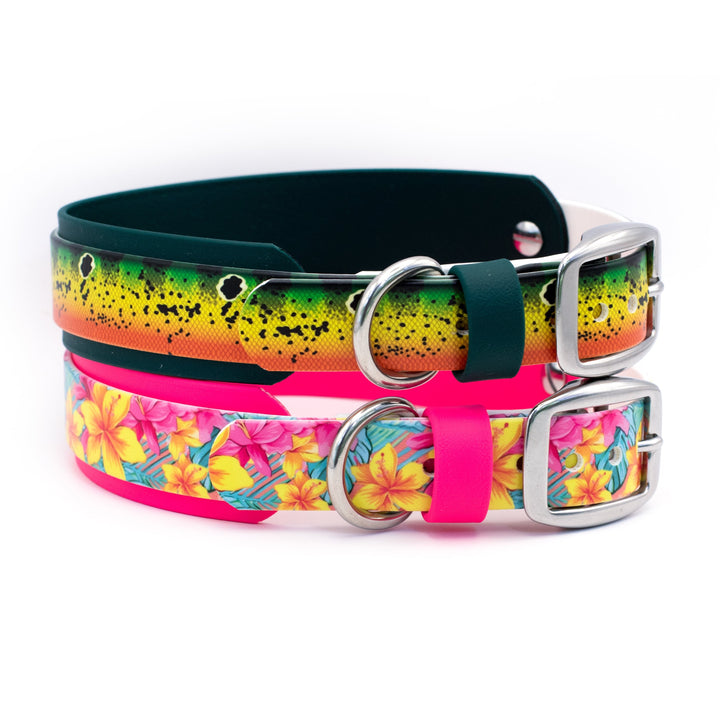 Double Layered UV Printed BioThane® Collars