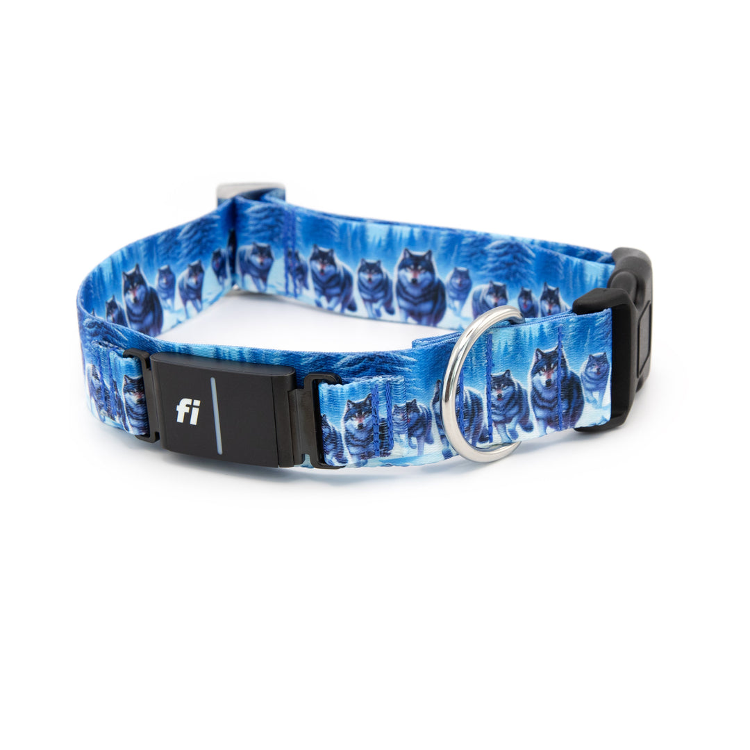 Dog collar with wolf design and brand logo on a white background